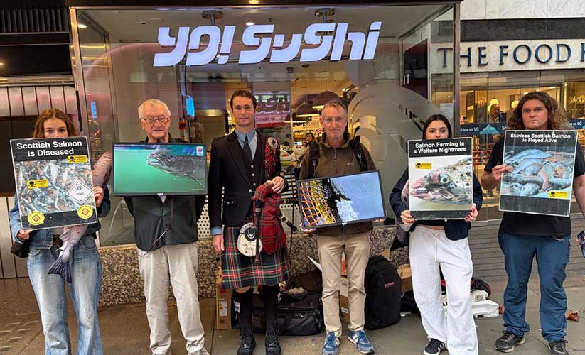 London-salmon-farming-protest-500