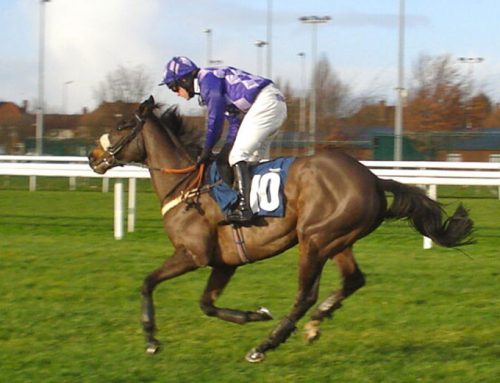 Horse Race Death Watch once more reveals the tragic toll on Britain’s courses