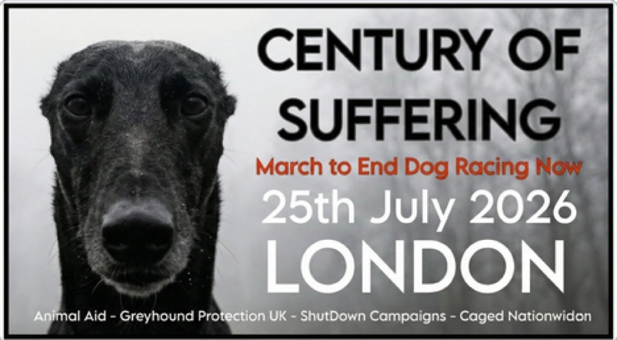 End Greyhound Racing