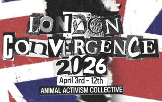 London Convergence