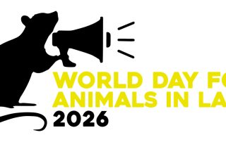 World Day for Animals